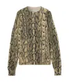 Dries Van Noten Tanna Python-intarsia Knitted Jumper In Nude