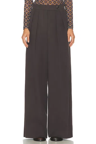 Dries Van Noten Pamplona Pants In Brown