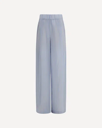 Dries Van Noten Light Blue Vertical Stripes Cupro Straight-leg Pants