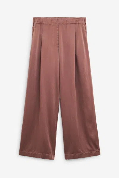Dries Van Noten Pants In Brown