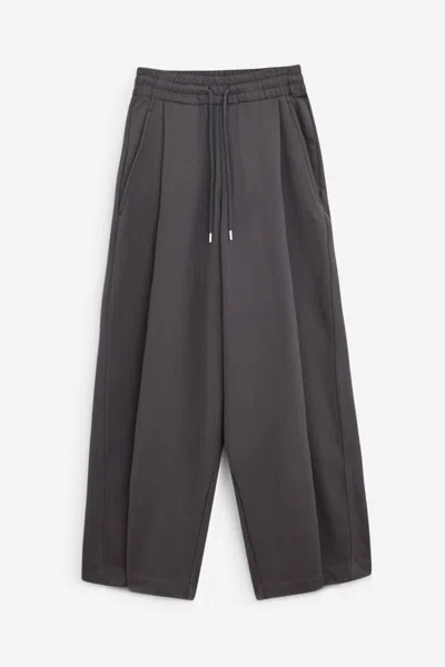 Dries Van Noten Pants In Gray
