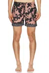 Dries Van Noten Abstract Floral Polyamide Geometric Trim Swim Shorts In Pink