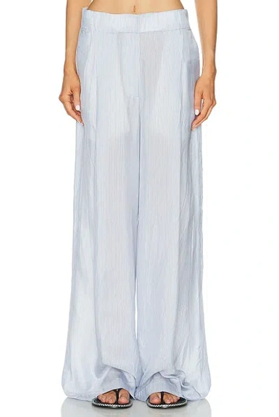 Dries Van Noten Pila Pants In Blue