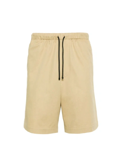 Dries Van Noten Piperi Shorts In Neutral