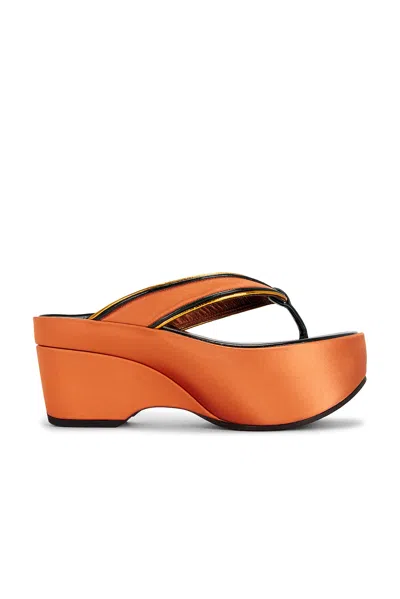 Dries Van Noten Platform Sandal In Brown