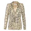 Dries Van Noten Regular Fit Double Breasted Blazer In Multi