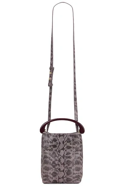 Dries Van Noten Small Resin Handle Crossbody Bag In Taupe
