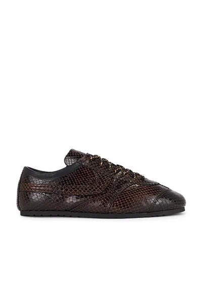Dries Van Noten Snake Sneaker In Brown