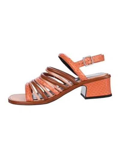 Pre-owned Dries Van Noten Snakeskin Slingback Sandals In Orange