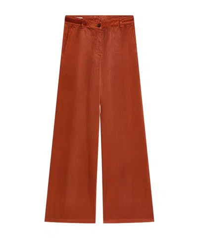 Dries Van Noten Straight-leg Casual Pants In Brown