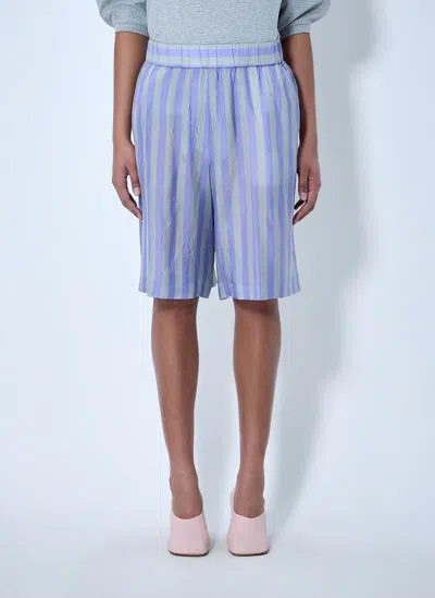 Dries Van Noten Striped Relaxed Shorts In Purple
