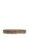 Dries Van Noten Studded Snake-effect Leather Belt In Neutrals