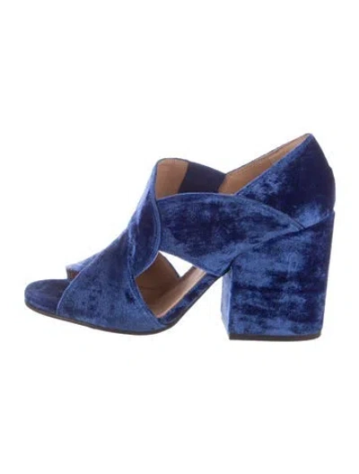 Pre-owned Dries Van Noten Velvet Mules In Blue
