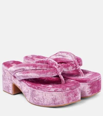 Dries Van Noten Velvet Platform Thong Sandals In Pink