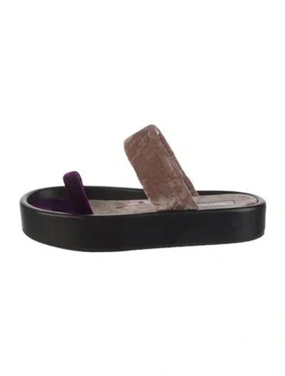 Pre-owned Dries Van Noten Velvet Slides In Multi