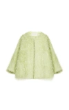 Dries Van Noten Violini Shaggy Wool-mohair Jacket In Green