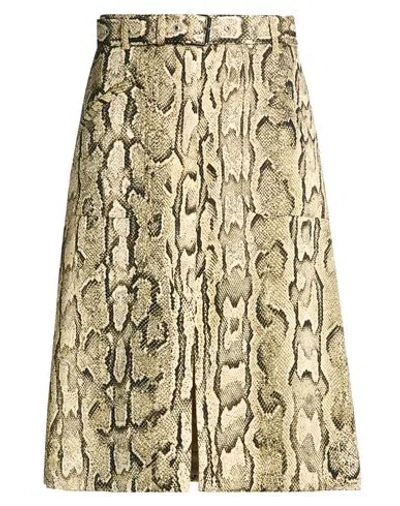 Dries Van Noten Woman Midi Skirt Beige Size 6 Viscose, Cotton In Gray
