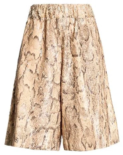 Dries Van Noten Woman Shorts & Bermuda Shorts Sand Size S Cotton In Brown