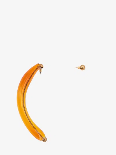 Dries Van Noten Asymmetrical Earrings In Brown