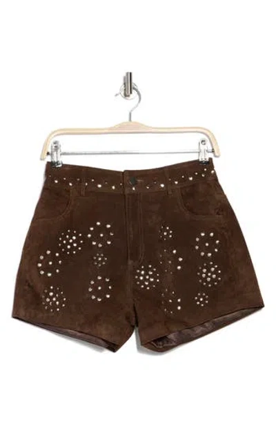 Driftwood Chocolate Suede Studded Shorts