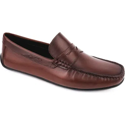 Driver Club Usa Nebraska Penny Loafer In Brown Napa