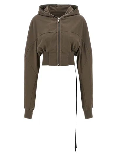 Drkshdw Hoodie In Brown