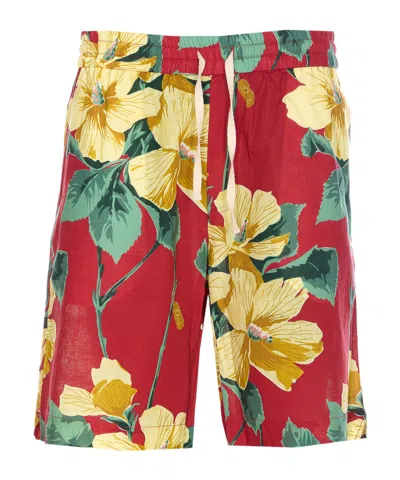 DRÔLE DE MONSIEUR SHORTS