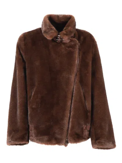 Drows Ecofurcy In Brown