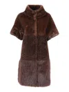 Drows Ecofurcy In Brown