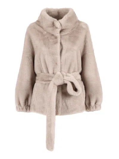 Drows Ecofurcy In Neutral