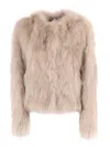 Drows Fur In Neutral