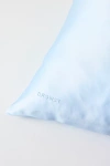Drowsy Sleep Co Queen Silk Pillowcase In Blue Belle At Urban Outfitters