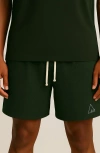 D.rt Perforated Cotton Drawstring Shorts In Green