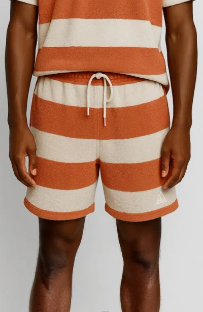 D.rt Stripe Cotton Terry Shorts In Brown