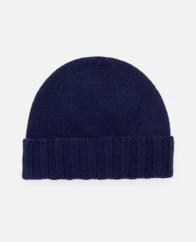 Drumohr Beanie In Blue