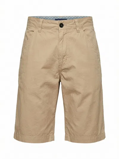Drumohr Bermuda Shorts In Brown