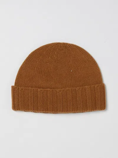 Drumohr Hat Men  In Brown
