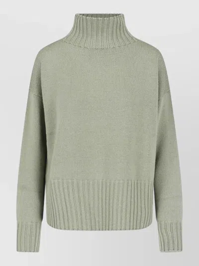 Drumohr Merino Wool Sweater With High Ribbed Turtleneck In Green