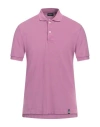 Drumohr Man Polo Shirt Mauve Size M Cotton In Purple