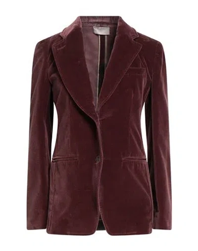 Drumohr Woman Blazer Chocolate Brown Size 4 Cotton In Multi