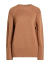 Drumohr Woman Sweater Camel Size Xl Merino Wool In Brown