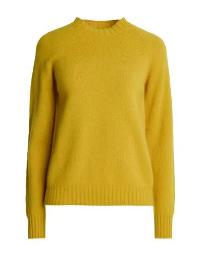 Drumohr Woman Sweater Mustard Size Xs Lambswool In Green