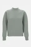 Drumohr Wool Sweater In Green