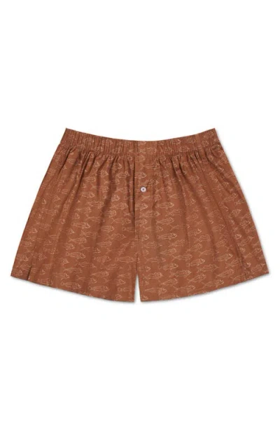 Druthers Nyc Organic Cotton School Of Fish Boxer Short In Terra Cotta Fish
