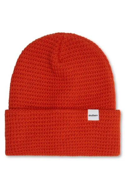 Druthers Nyc Organic Cotton Waffle Knit Beanie In Orange