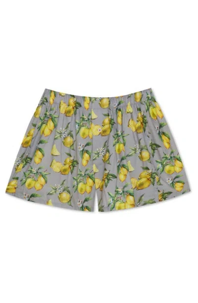 Druthers Nyc Organic Cotton Watercolor Lemons Boxer Short In Lavender