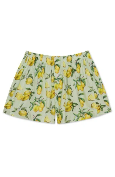 Druthers Nyc Organic Cotton Watercolor Lemons Boxer Short In Mint