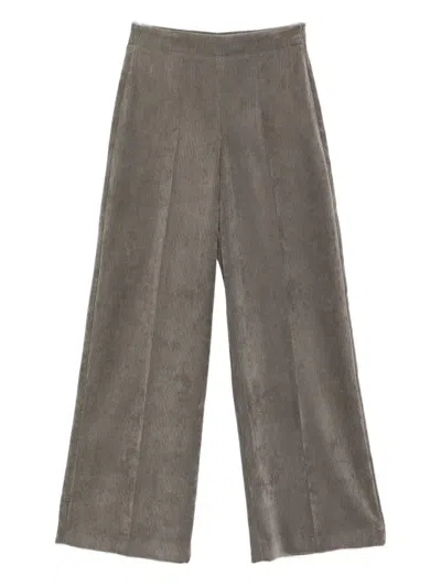 Drykorn Corduroy Pants In Gray