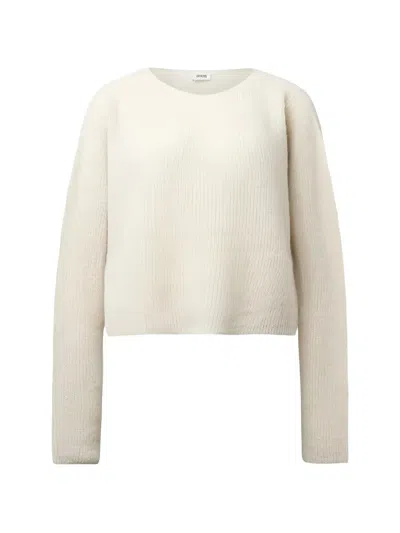 Drykorn Imeny Cropped Sweater In Neutral