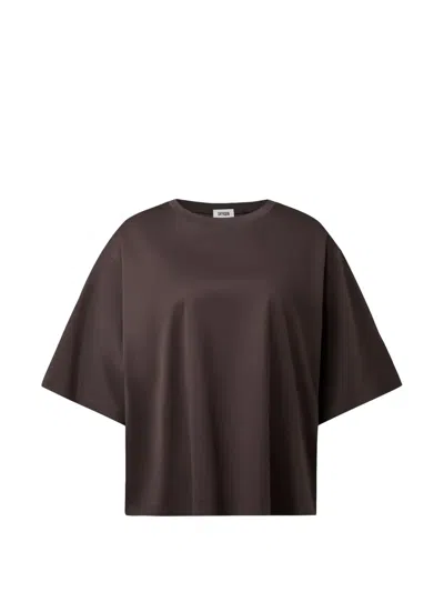 Drykorn Pinara T-shirt In Brown
